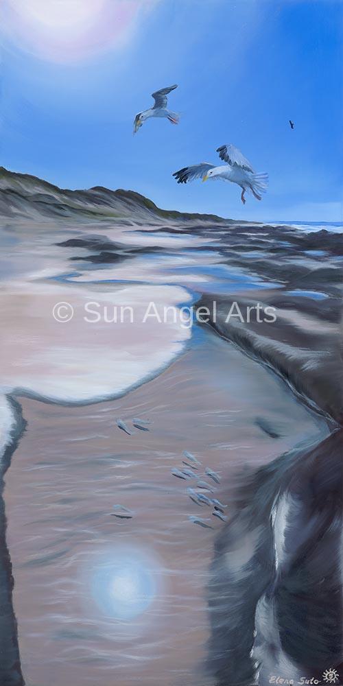 098 Soaring under midday sun (East Ballina Beach, NSW) (Reproduction)